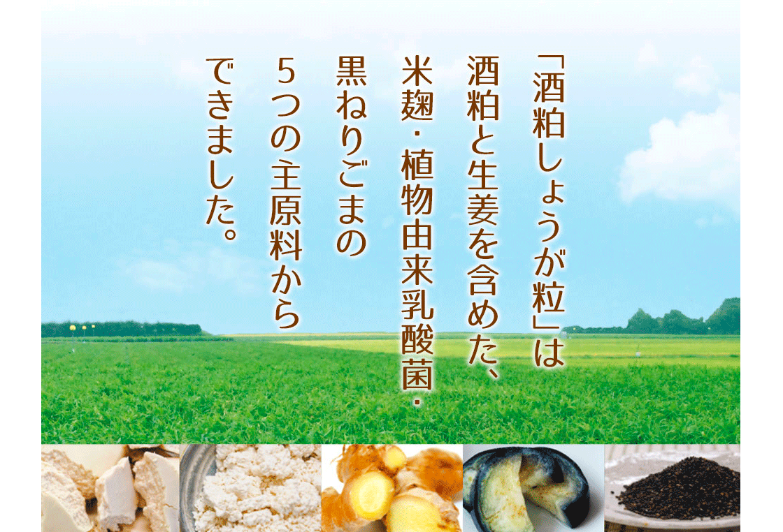 酒粕しょうが粒は酒粕と生姜を含めた、米麹・植物由来殺菌乳酸菌・黒ねりごまの5つの主原料からできました。
