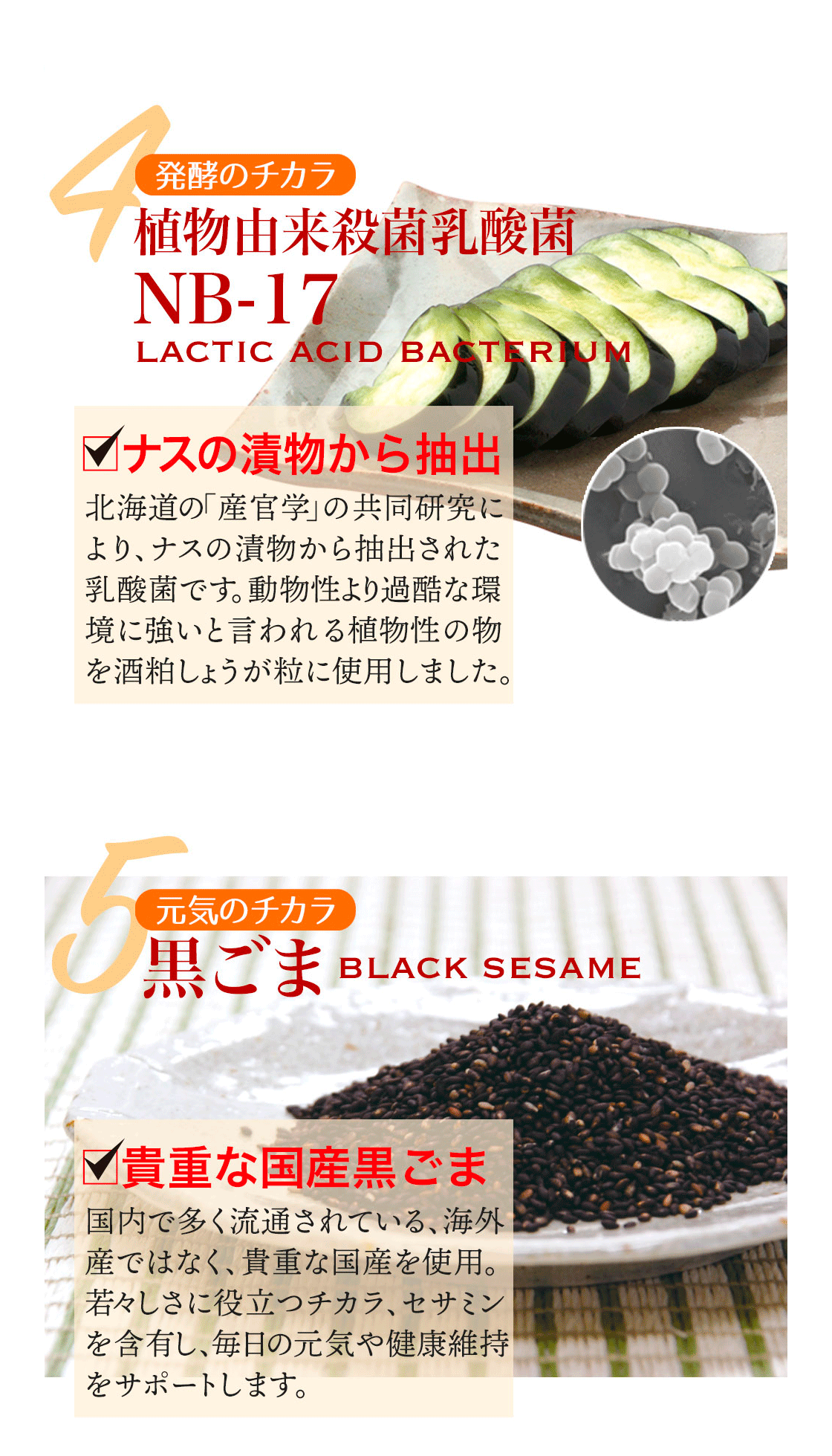 発酵のチカラ　4.植物由来殺菌乳酸菌NB-17　元気のチカラ　5.黒ごま